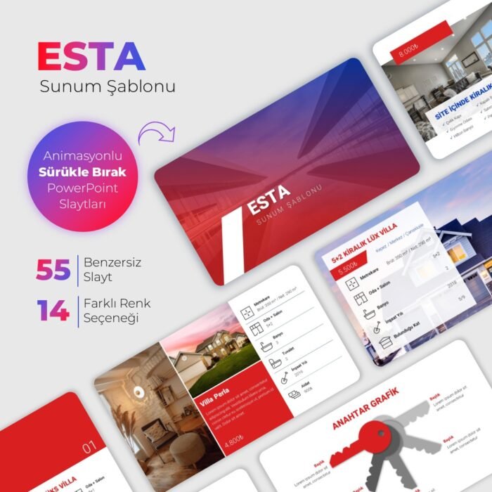 ESTA Sunum Şablonu - Görsel 1